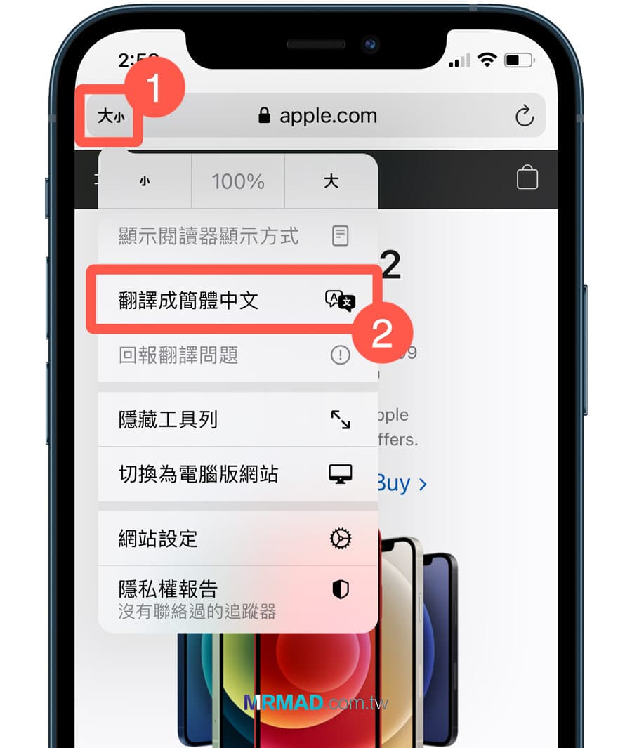 Safari 網頁翻譯功能